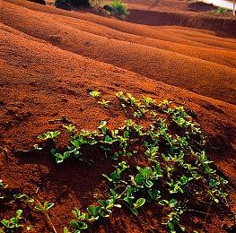 《使命召唤22》不会继承前作糟糕皮肤等 要更真实体验